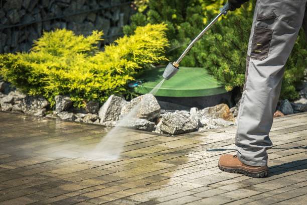 Best Pool Deck Cleaning  in Millsboro, DE