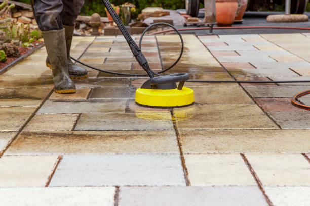 Best Roof Washing  in Millsboro, DE