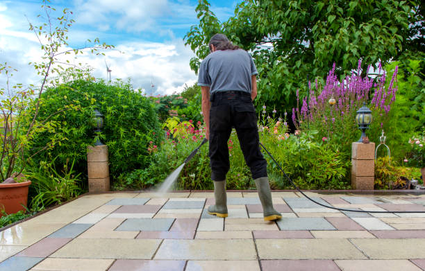 Best Restaurant Pressure Washing  in Millsboro, DE